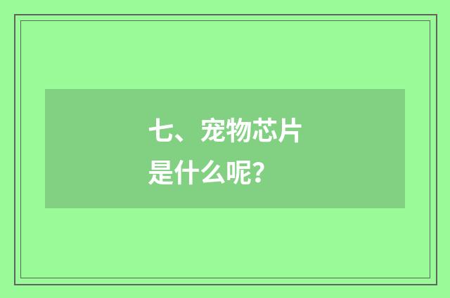 七、宠物芯片是什么呢?