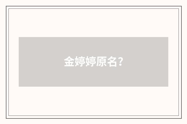 金婷婷原名？
