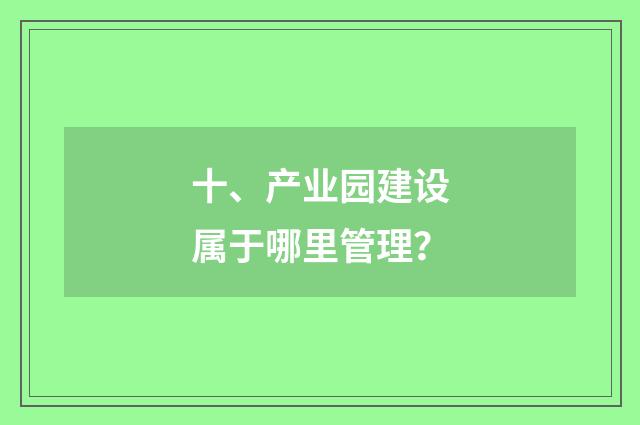 十、产业园建设属于哪里管理?