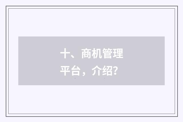 十、商机管理平台，介绍？
