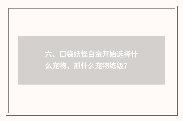 六、口袋妖怪白金开始选择什么宠物,抓什么宠物练级?