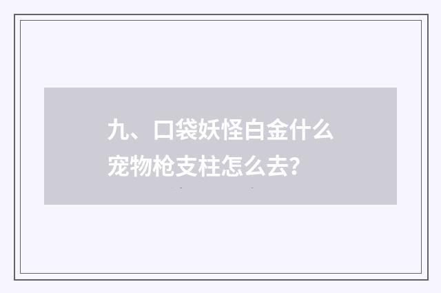 九、口袋妖怪白金什么宠物枪支柱怎么去？