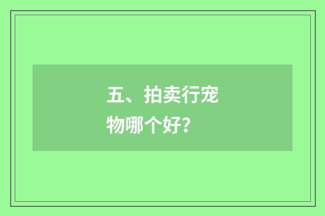 五、拍卖行宠物哪个好?