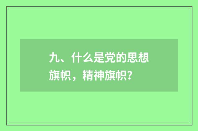 九、什么是党的思想旗帜,精神旗帜?