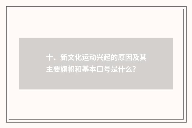 十、新文化运动兴起的原因及其主要旗帜和基本口号是什么?