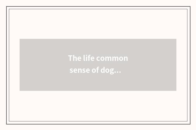 The life common sense of dog dog?