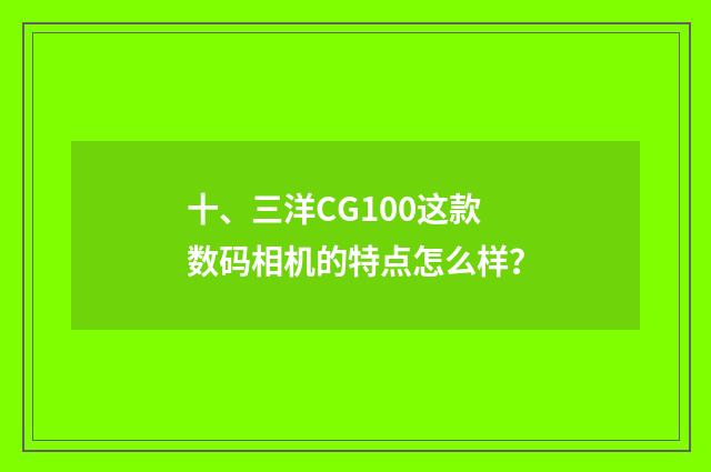 十、三洋CG100这款数码相机的特点怎么样？