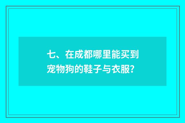 七、在成都哪里能买到宠物狗的鞋子与衣服?
