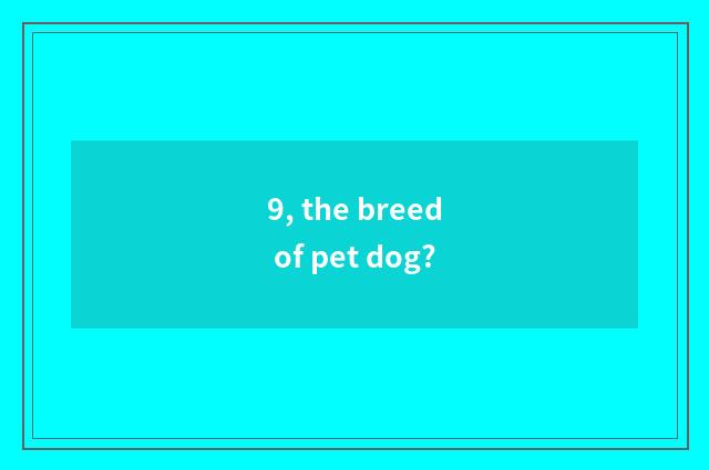9, the breed of pet dog?