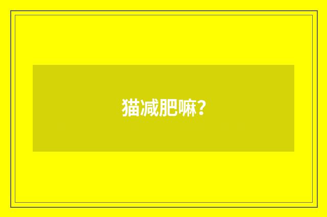 猫减肥嘛？