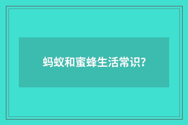 蚂蚁和蜜蜂生活常识?