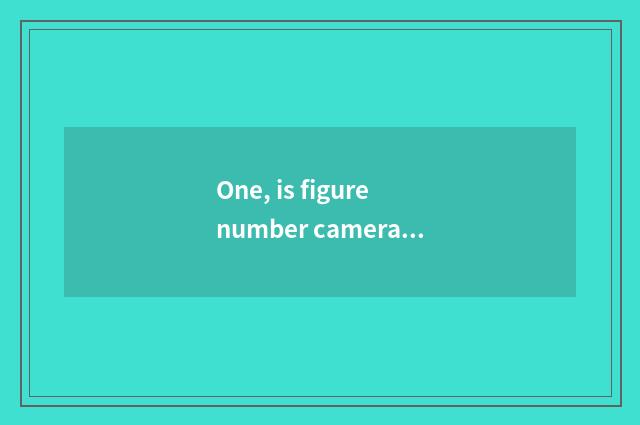 One, is figure number camera recommended?
