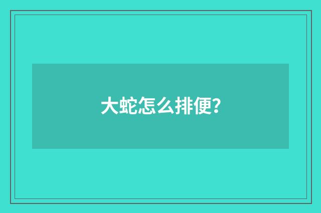 大蛇怎么排便？