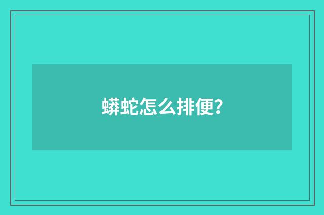 蟒蛇怎么排便?