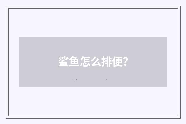 鲨鱼怎么排便?