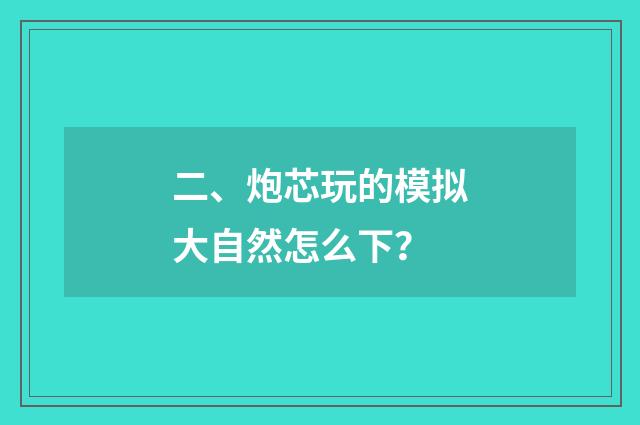二、炮芯玩的模拟大自然怎么下?