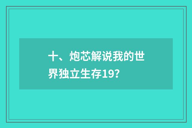 十、炮芯解说我的世界独立生存19?