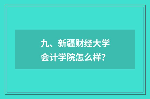 九、新疆财经大学会计学院怎么样?