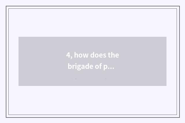 4, how does the brigade of pet elf world catch spirit?