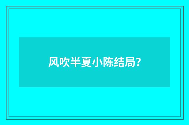风吹半夏小陈结局?