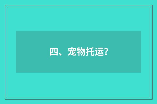 四、宠物托运?