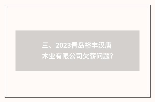 三、2023青岛裕丰汉唐木业有限公司欠薪问题?