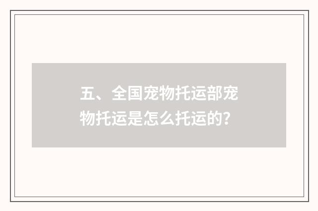 五、全国宠物托运部宠物托运是怎么托运的？