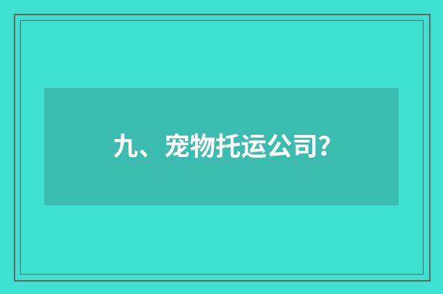 九、宠物托运公司？