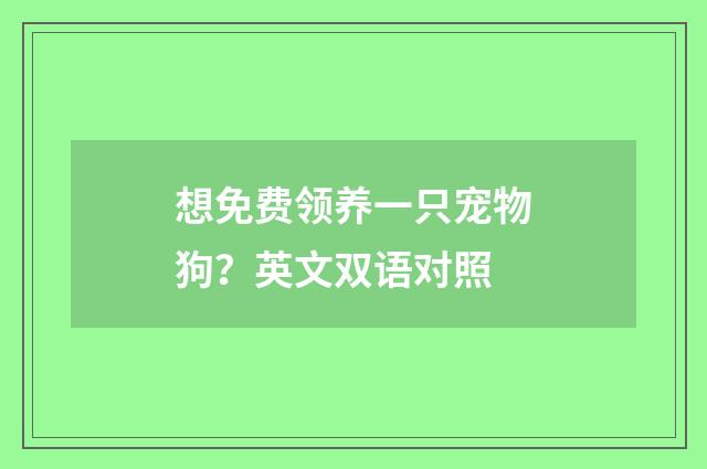想免费领养一只宠物狗?英文双语对照