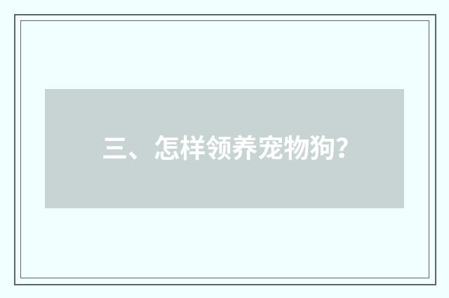 三、怎样领养宠物狗?