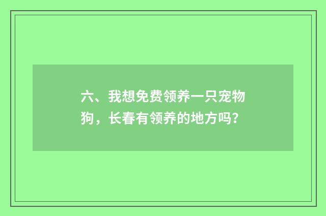 六、我想免费领养一只宠物狗,长春有领养的地方吗?