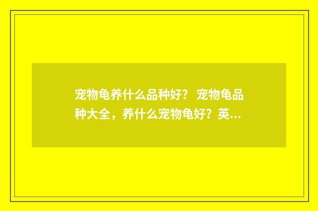 宠物龟养什么品种好? 宠物龟品种大全,养什么宠物龟好?英文双语对照