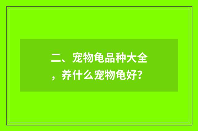 二、宠物龟品种大全,养什么宠物龟好?