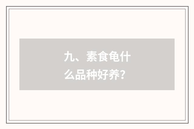 九、素食龟什么品种好养？