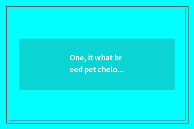 One, it what breed pet chelonian raises is good that what breed pet chelonian ra