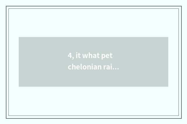 4, it what pet chelonian raise is good to what pet chelonian raise?