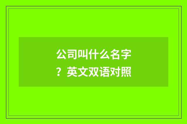 公司叫什么名字？英文双语对照