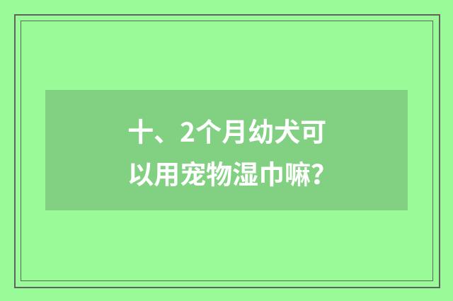 十、2个月幼犬可以用宠物湿巾嘛?