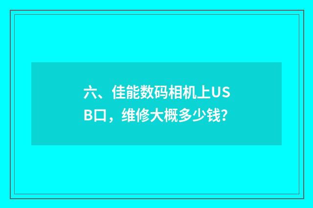 六、佳能数码相机上USB口,维修大概多少钱?