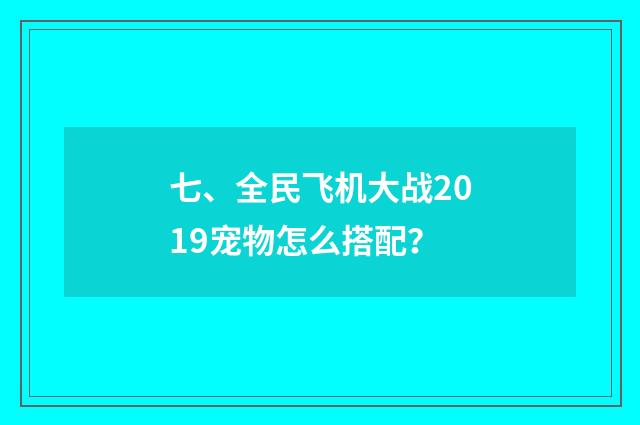七、全民飞机大战2019宠物怎么搭配?