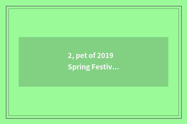 2, pet of 2019 Spring Festivals?