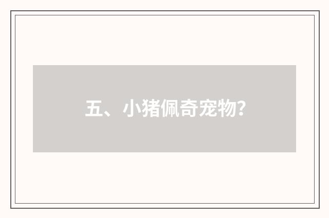 五、小猪佩奇宠物？