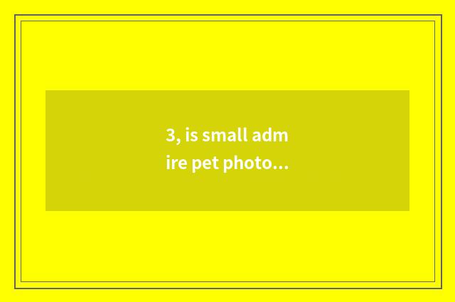 3, is small admire pet photographed how to join like the head?