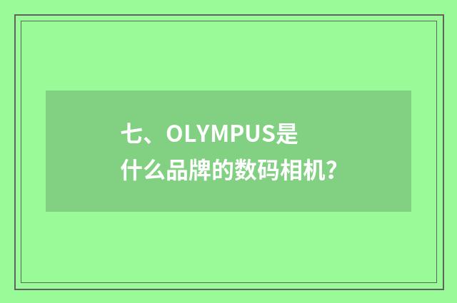 七、OLYMPUS是什么品牌的数码相机?