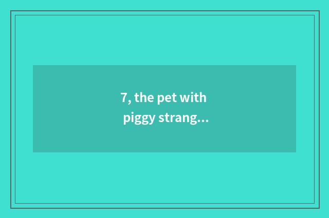 7, the pet with piggy strange admire?