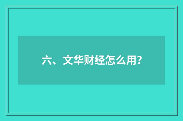 六、文华财经怎么用?