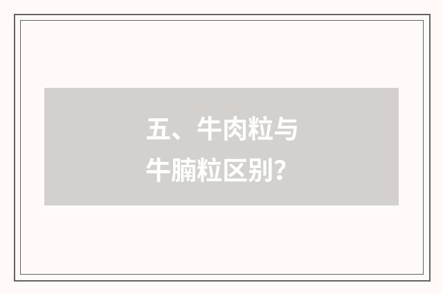 五、牛肉粒与牛腩粒区别?
