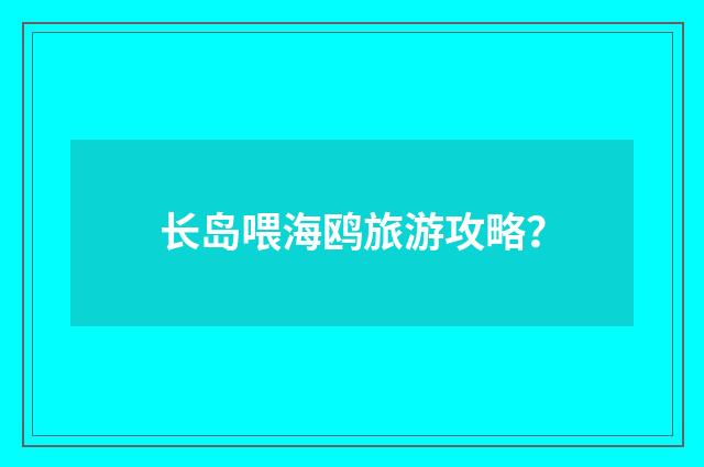 长岛喂海鸥旅游攻略?