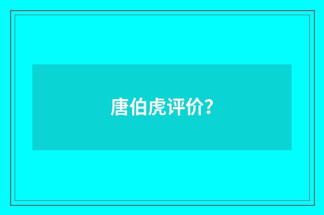 唐伯虎评价?