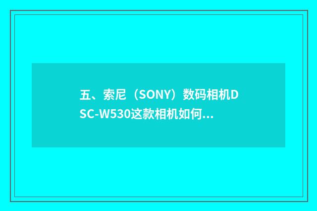 五、索尼（SONY）数码相机DSC-W530这款相机如何？